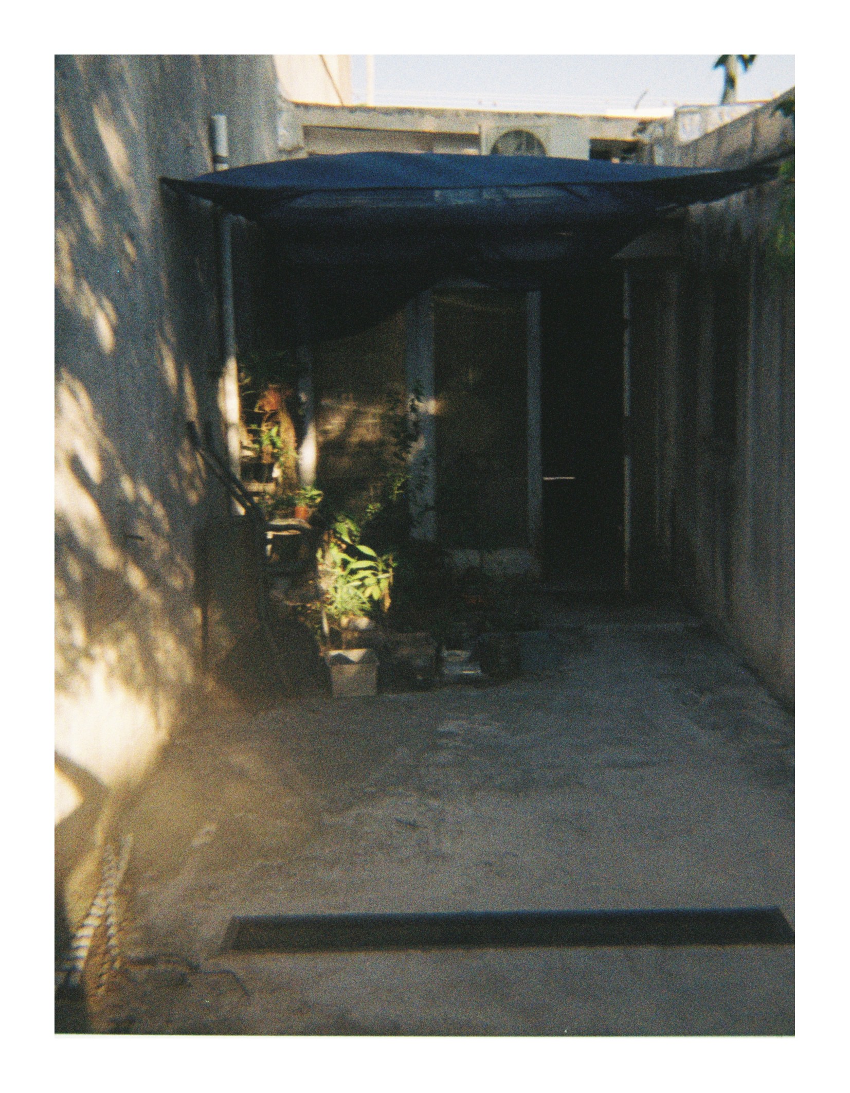 Narrow outdoor patio with concrete floor and walls, partially covered by a fabric canopy, with plants growing along the back wall in natural light."