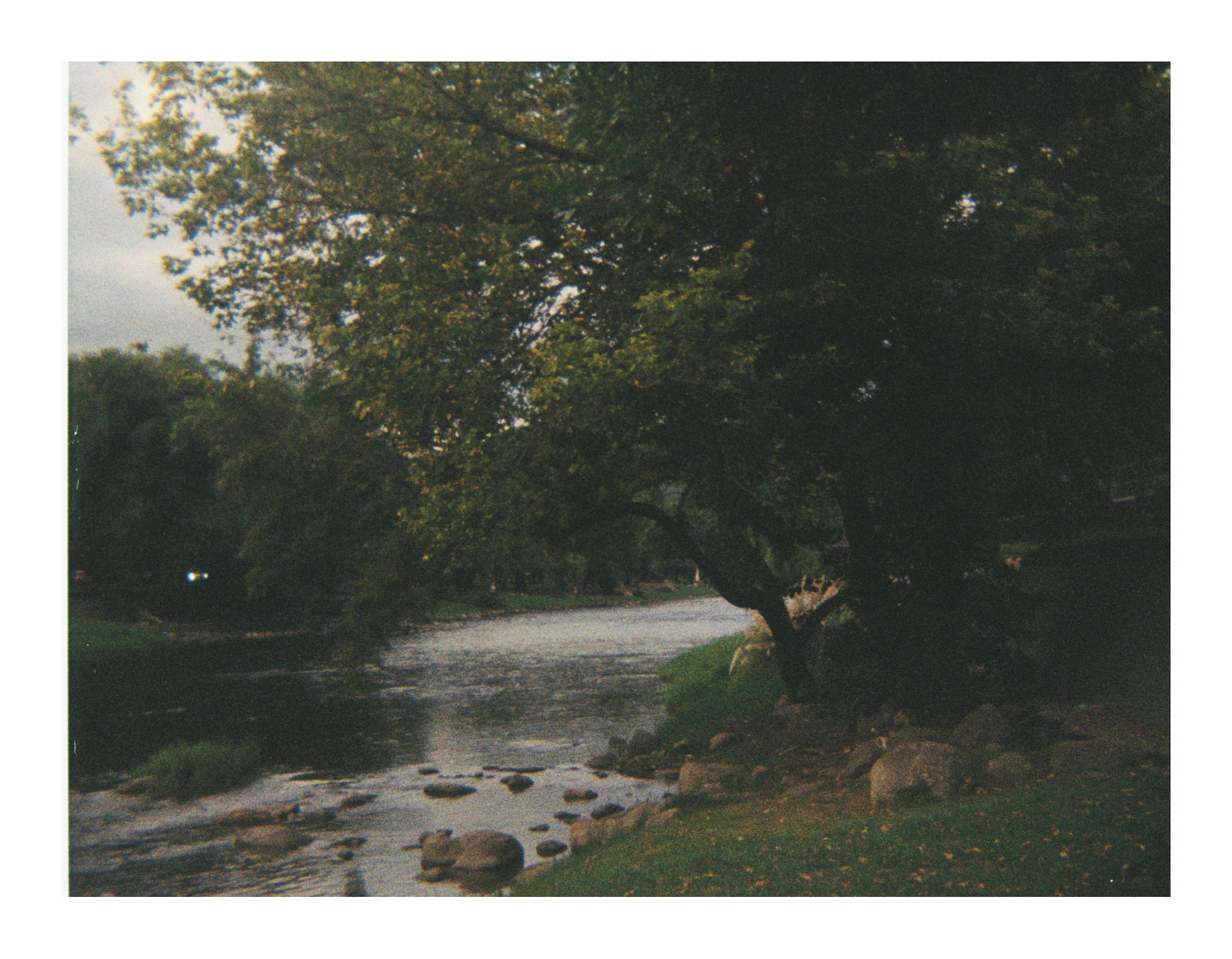 Small river flowing through a park, with rocks along the water and trees arching over the riverbank in soft natural light.