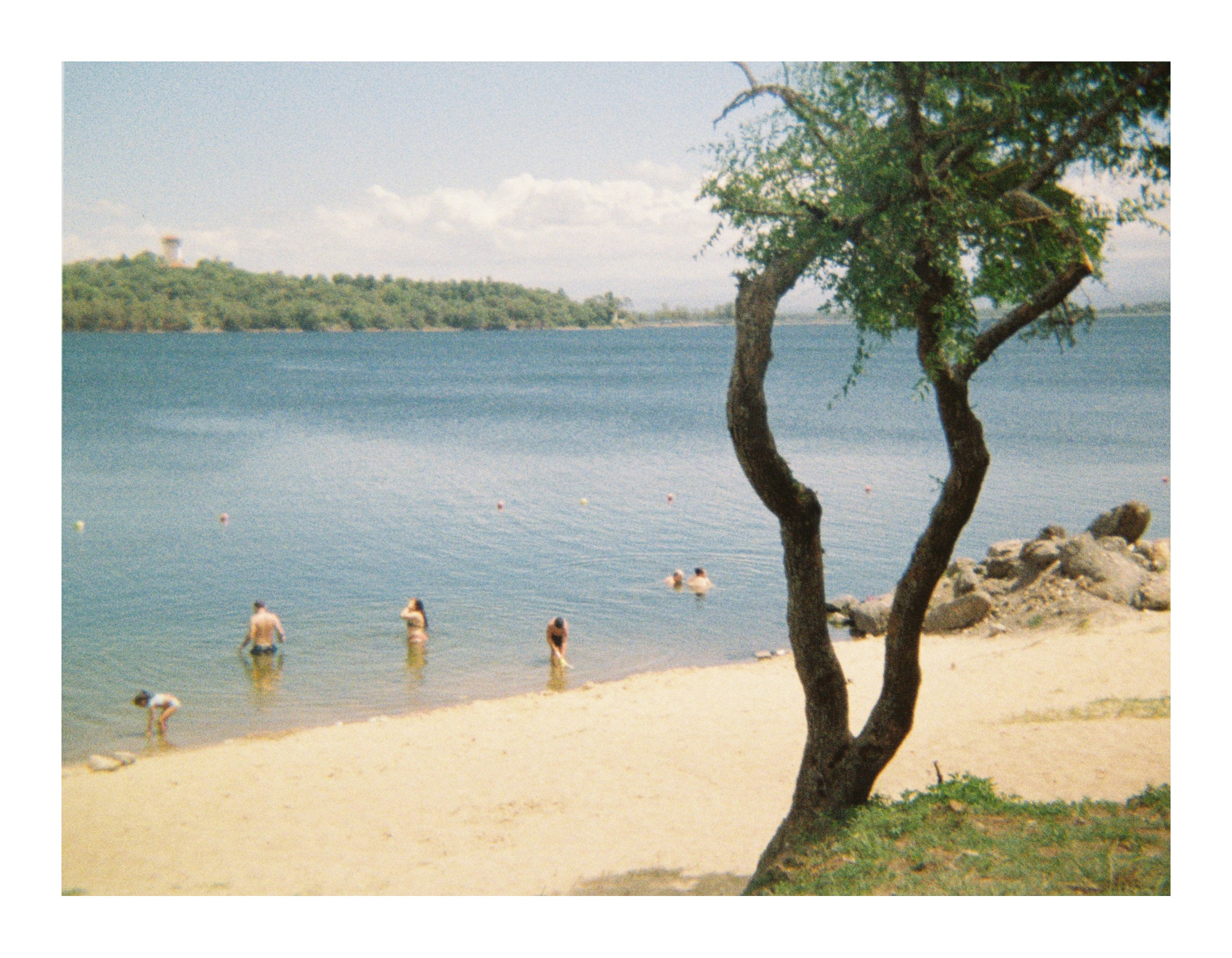 People wading and swimming near the shore of a lake, with a sandy beach in the foreground and a tree framing the scene on the right."